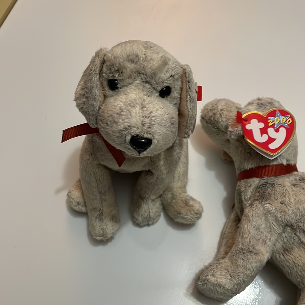 Ty Beanie Baby * Tricks * Date of Birth: May‎ 14, 2000